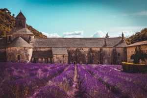 Home Provence landschap met mediterrane vegetatie, cicaden en bergen onder de milde Franse zon