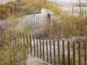 Home 5 feiten om te overwegen bij het kiezen van tuinbenodigdheden: kwaliteit, duurzaamheid, functionaliteit, prijs en ecologie